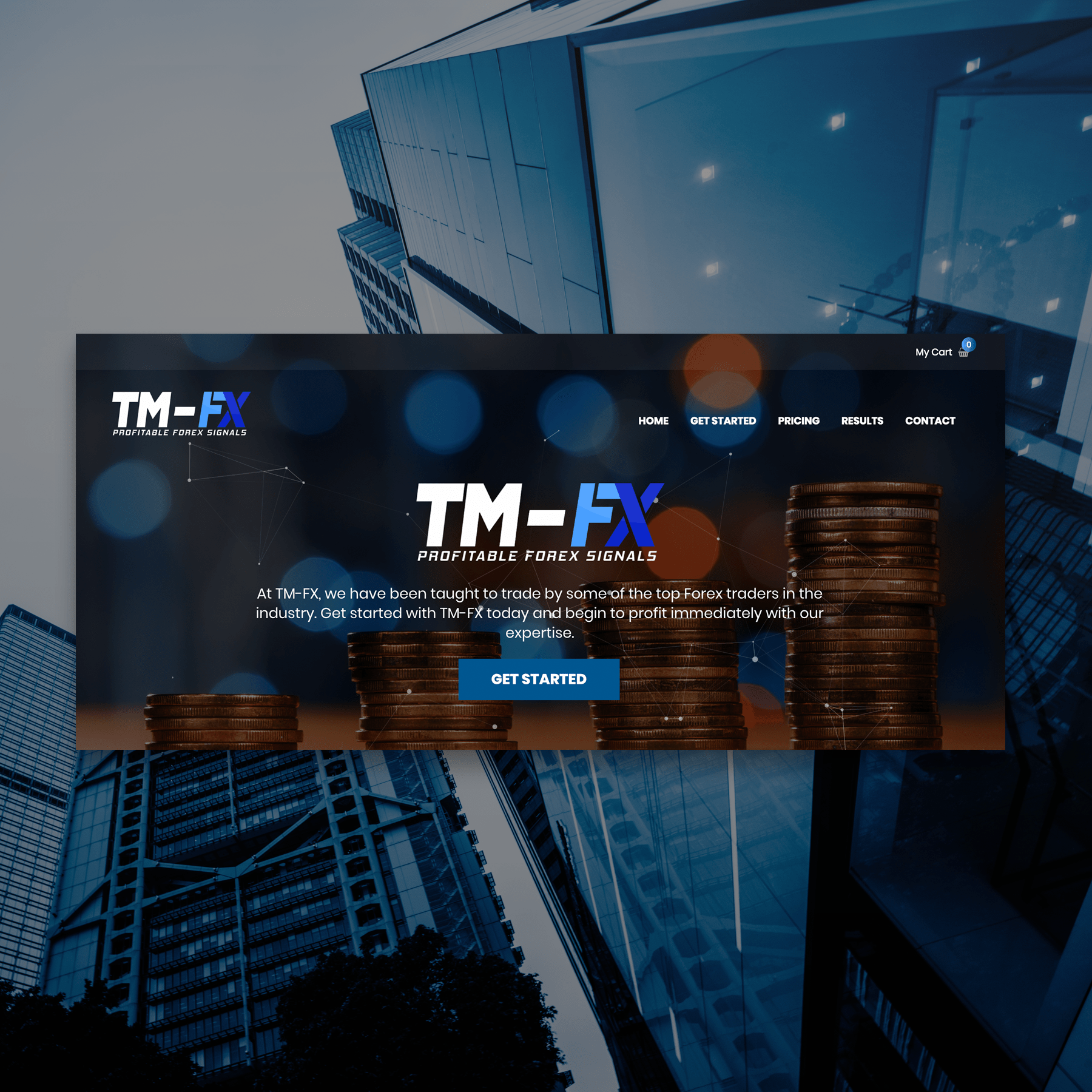 TM-FX - Web Design
