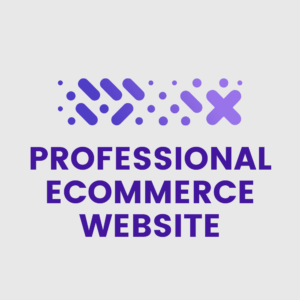 Professional ecommerce website design