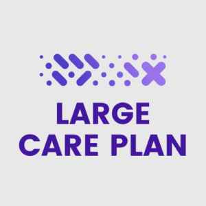 website maintenance large care plan