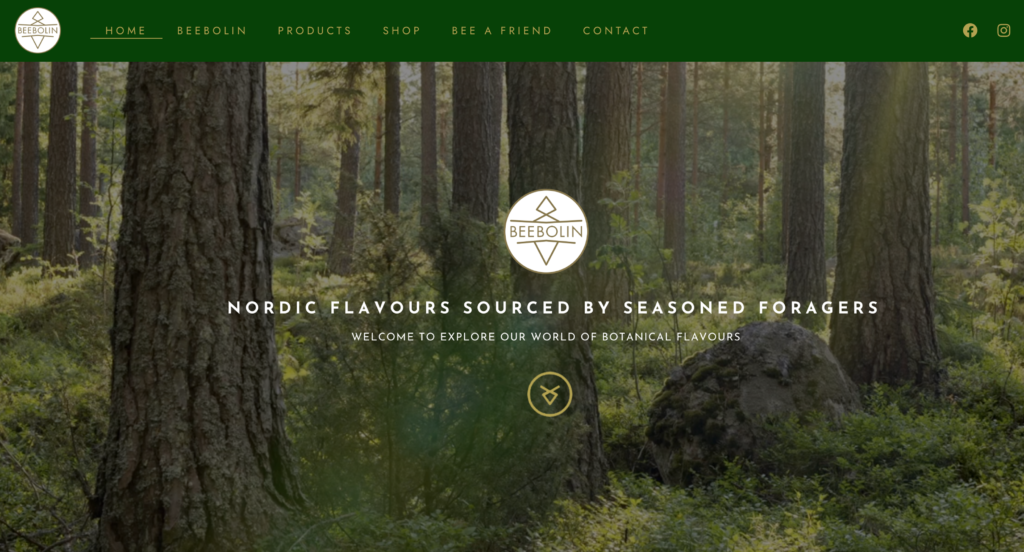 beebolin-web-design